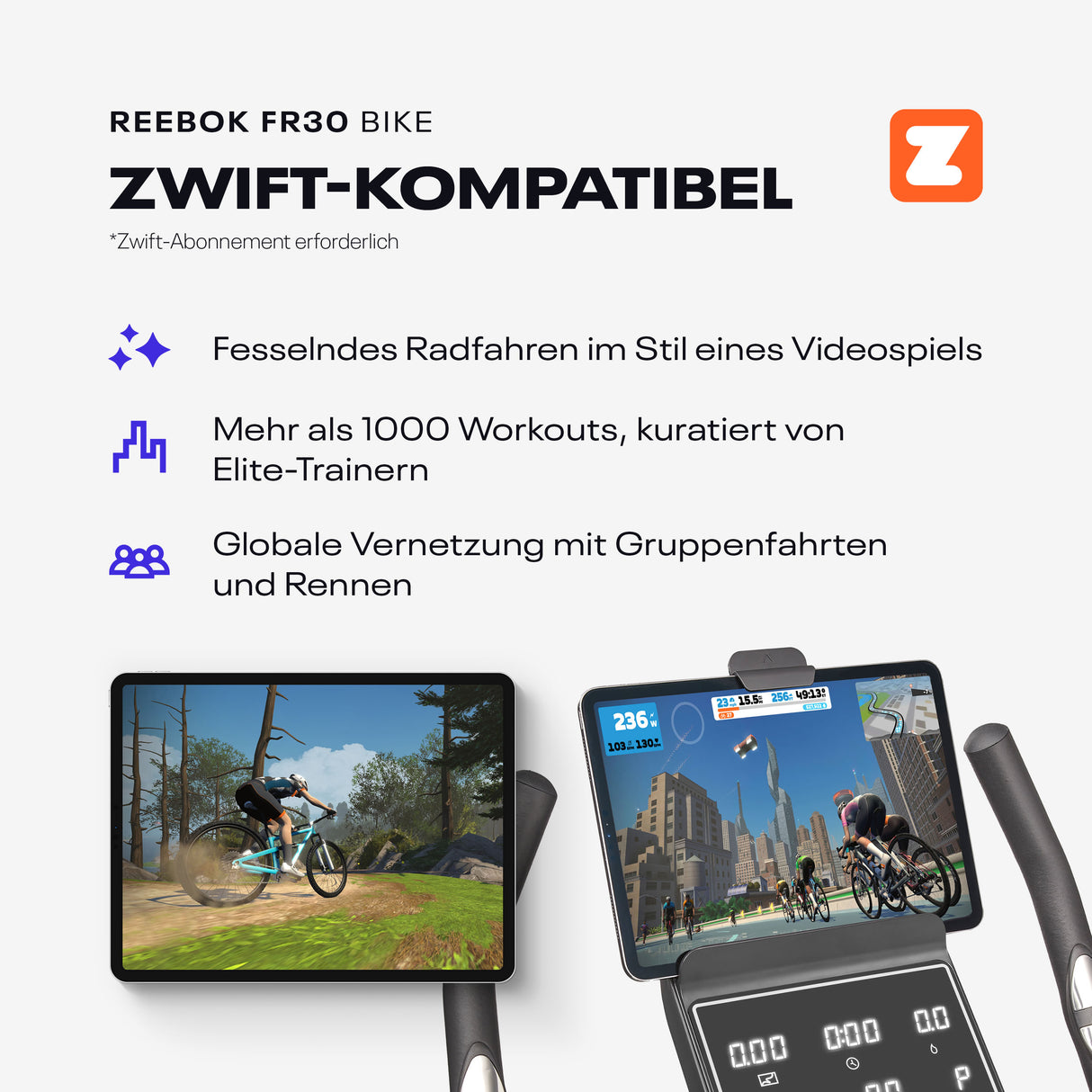Reebok FR30 Ergometer