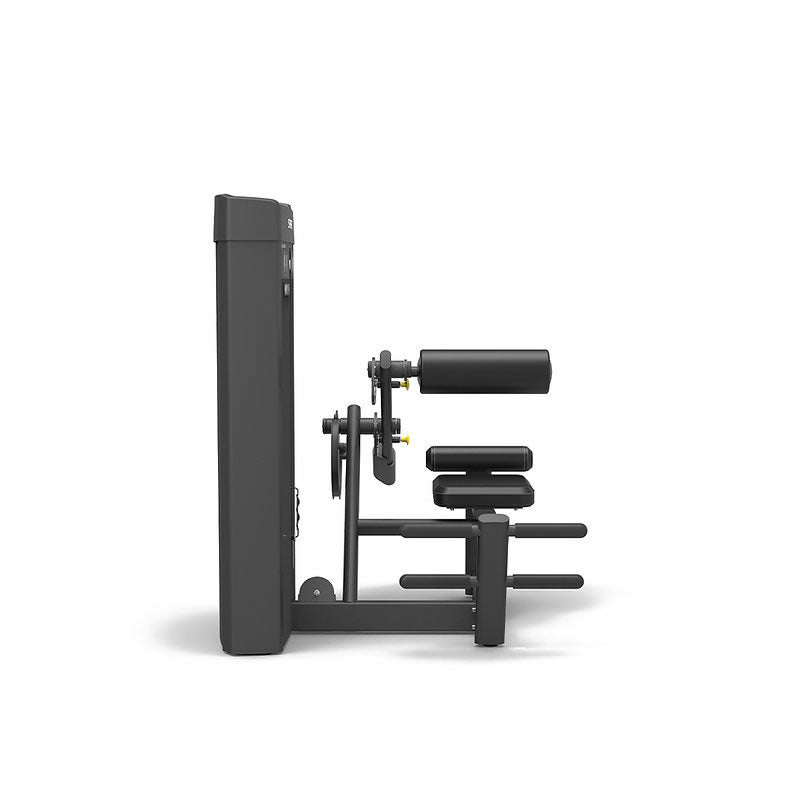 Spirit Fitness Commercial Rückenstrecker SP-4310