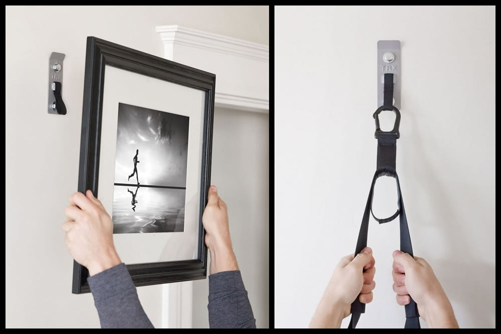 TRX Invizi Mount
