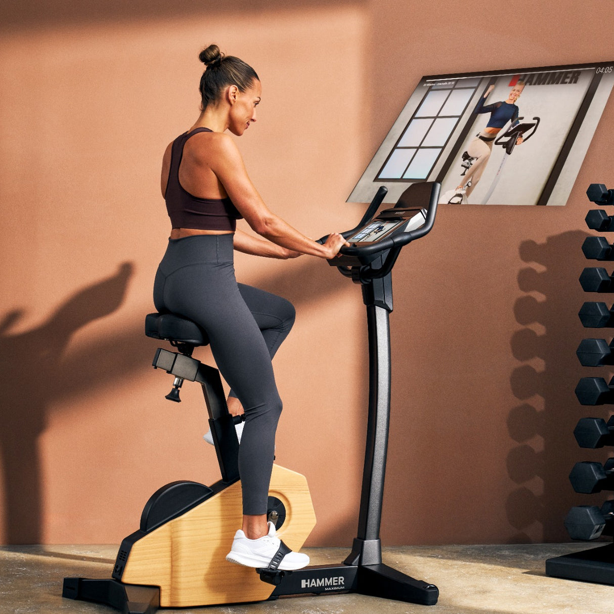 HAMMER MAXIMUM Spheris 4.0 Ergometer NorsK