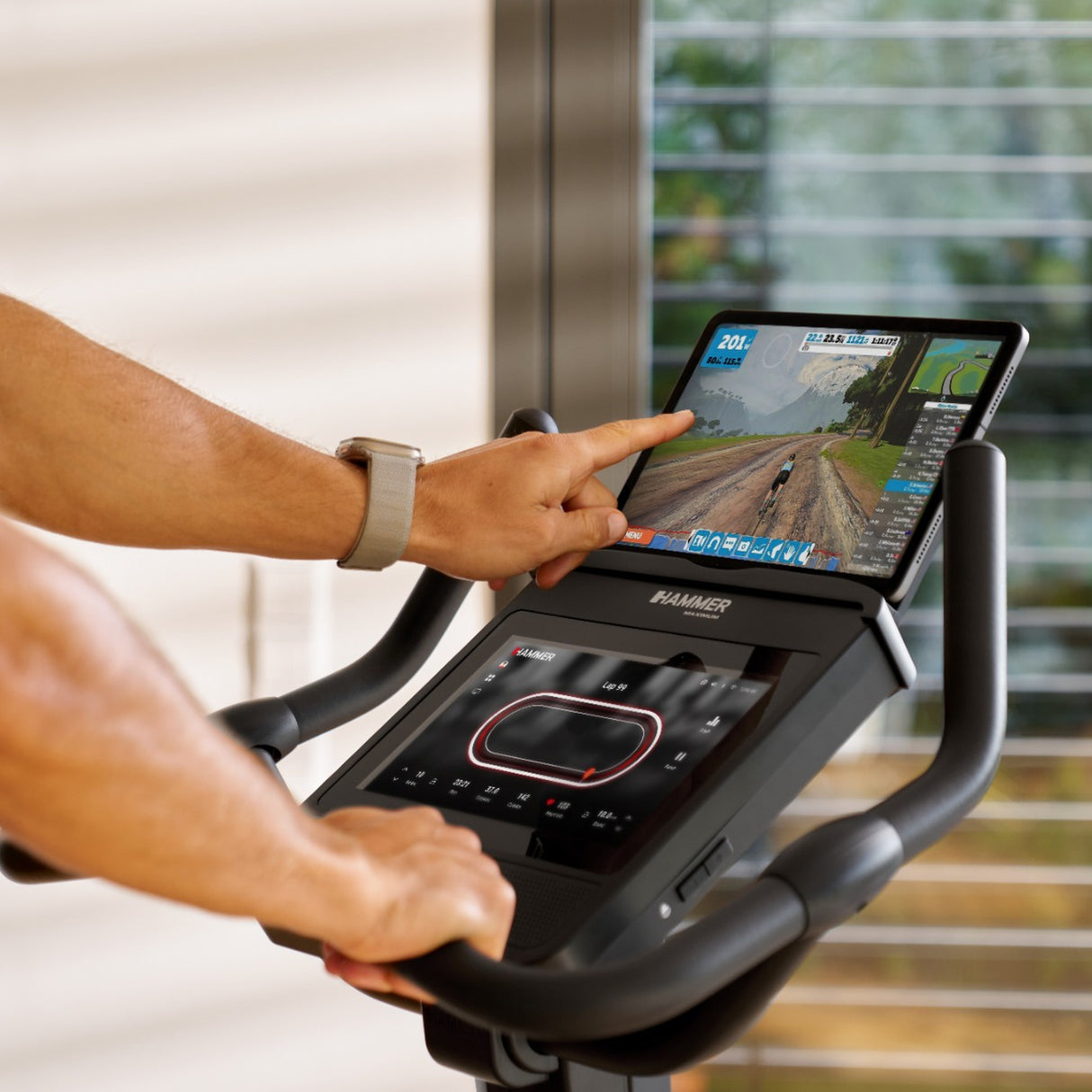 HAMMER MAXIMUM Spheris 4.0 Ergometer
