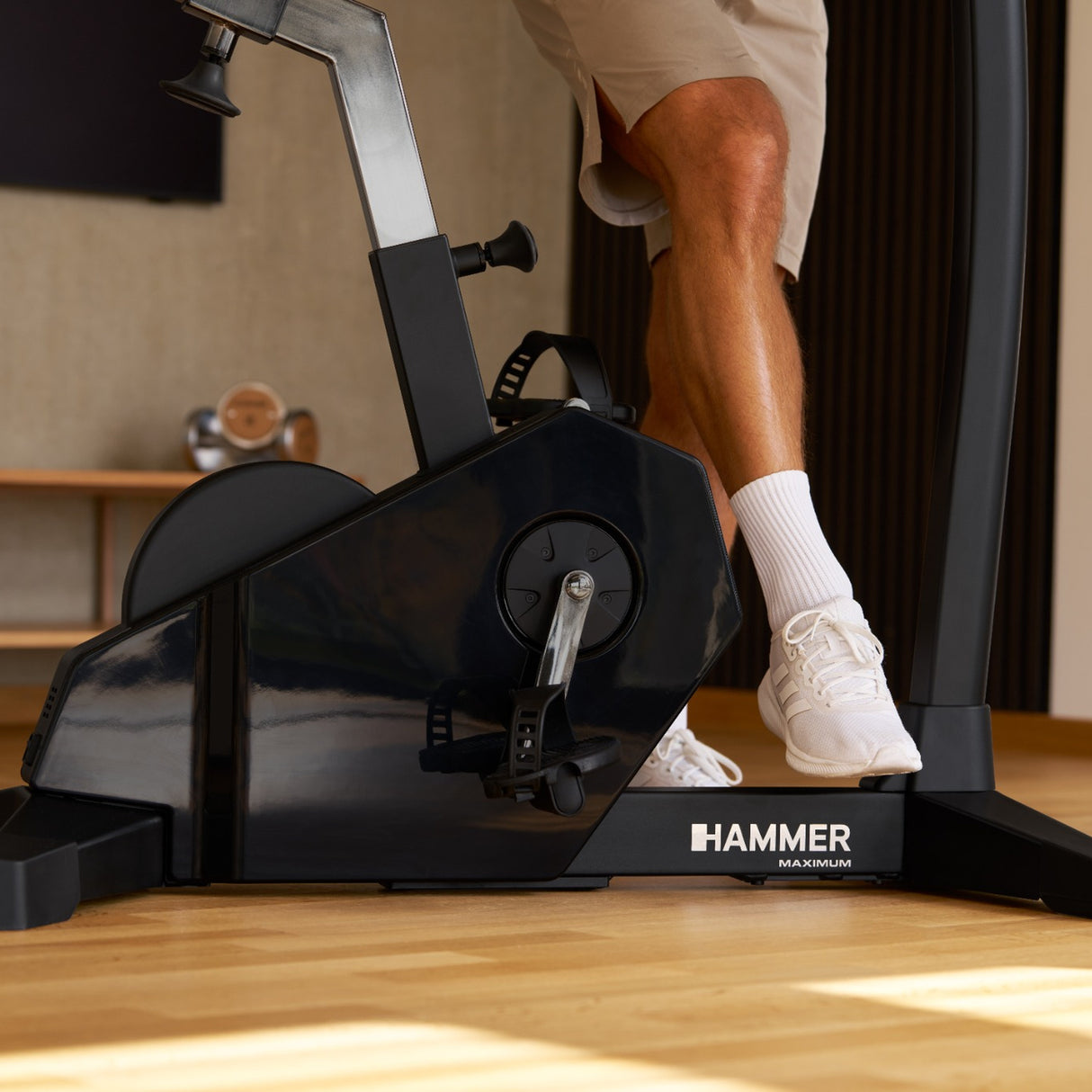 HAMMER MAXIMUM Spheris 4.0 Ergometer