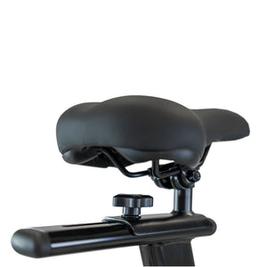 BH Fitness Xcalibur Magnetic Indoor Bike