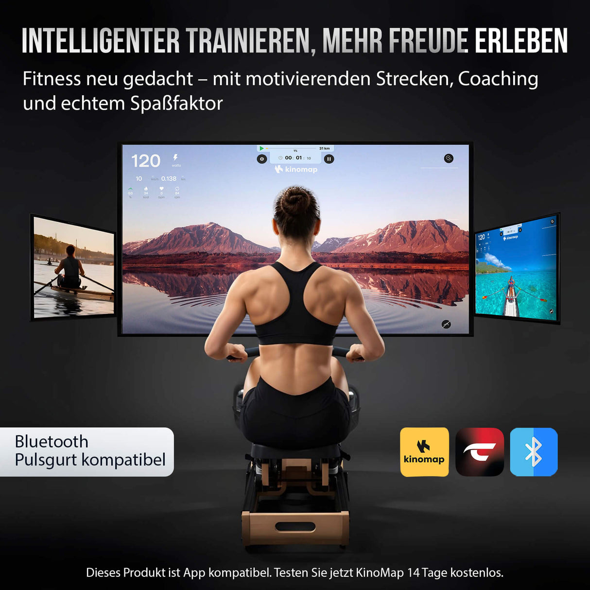 Christopeit Holz-Wasserrudergerät WP 5000 - Stiftung Warentest Testsieger