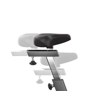 Schwinn Ergometer Airdyne AD8 Pro