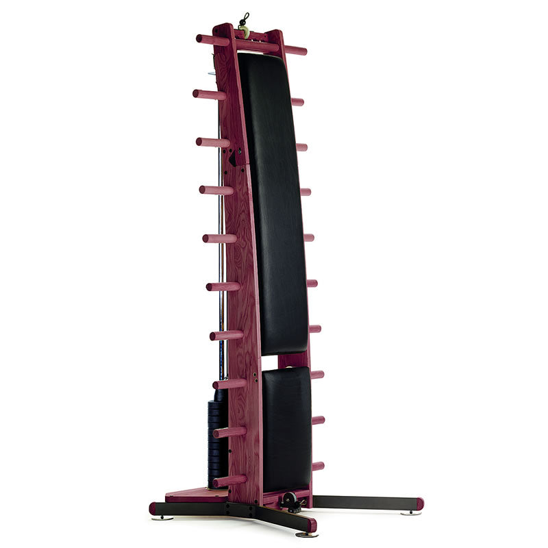 NOHrD Kraftstation WeightWorkx Club-Sport Echtleder