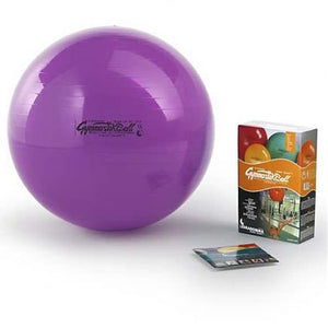 Original Pezzi Ball Standard 53cm Violett