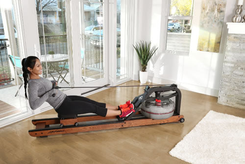 Life Fitness Rudergerät Row HX