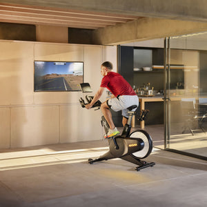 Reebok Indoor Cycle Z-Tech Sprint Bike