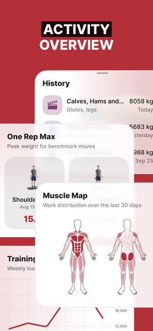 SOLE FITNESS SRVO Basic All-in-one-Trainer