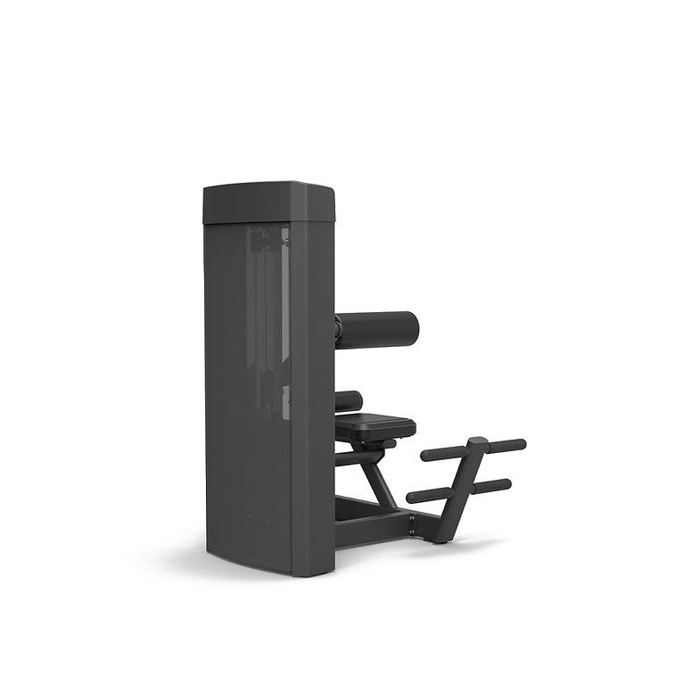 Spirit Fitness Commercial Rückenstrecker SP-4310