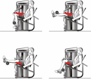 Vision Fitness ST750 Dual-Beinstrecker-Beuger