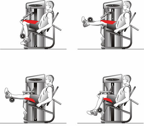 Vision Fitness ST750 Dual-Beinstrecker-Beuger